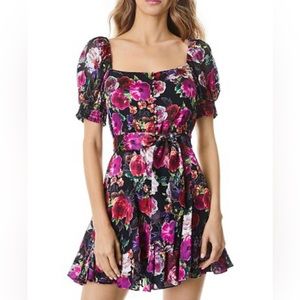 Alice & Olivia Mini Dress